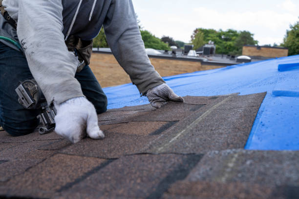 Roof Repair Estimates in Brooksville, FL